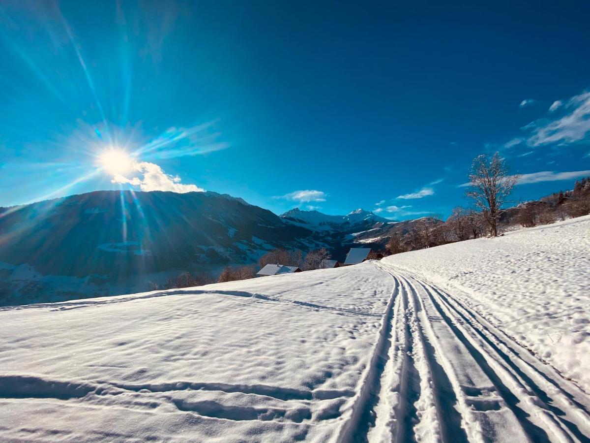 Chalet Confidentiel Valmorel - Chalet De Haut De Gamme 4 Etoiles 12 Personnes Doucy Εξωτερικό φωτογραφία