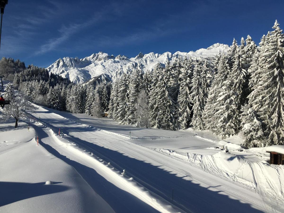 Chalet Confidentiel Valmorel - Chalet De Haut De Gamme 4 Etoiles 12 Personnes Doucy Εξωτερικό φωτογραφία
