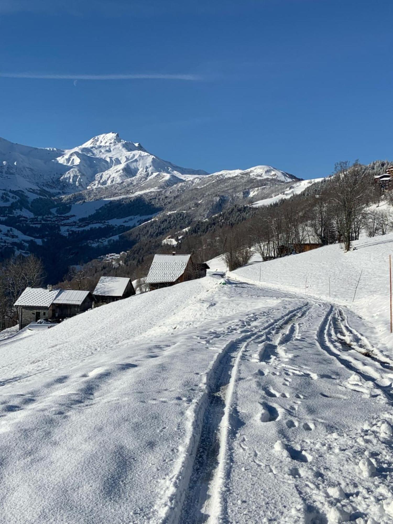 Chalet Confidentiel Valmorel - Chalet De Haut De Gamme 4 Etoiles 12 Personnes Doucy Εξωτερικό φωτογραφία